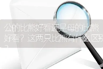 各位高手能不能告诉我黑背和狼青的区别，从外观上怎么能区分，还有颜色与形态上怎么区分？