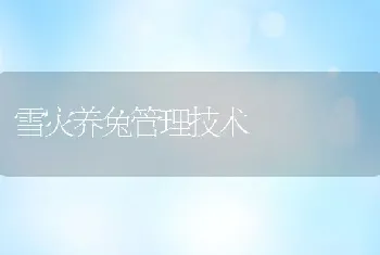 雪灾养兔管理技术