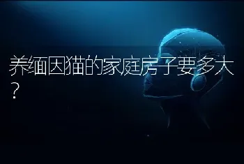 汪汪队黑白色的狗狗叫什么名字？