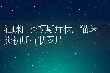 吃什么补维生素，吃什么补维生素d效果最好