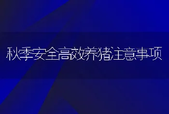 秋季安全高效养猪注意事项