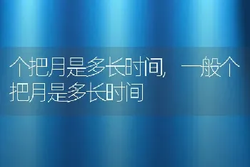 个把月是多长时间，一般个把月是多长时间