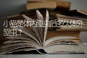 小猫是体内驱虫后多久体外驱虫？