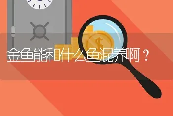 金鱼能和什么鱼混养啊？