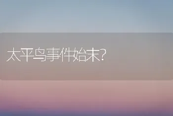 太平鸟事件始末？