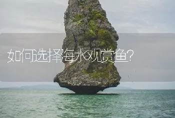 如何选择海水观赏鱼？