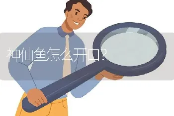 神仙鱼怎么开口？