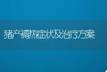 猪产褥热症状及治疗方案