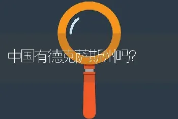 中国有德克萨斯州吗？