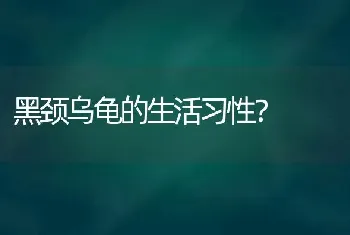 黑颈乌龟的生活习性？