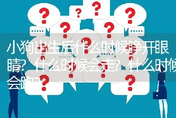 小狗出生后什么时候睁开眼睛?什么时候会走?什么时候会跑？