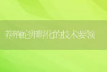 养殖蛇卵孵化的技术要领