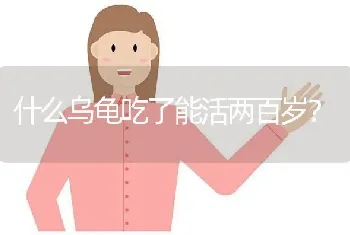 西锦与东锦龟那个更耐寒求懂行的？