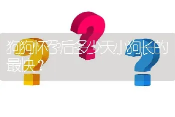 狗狗怀孕后多少天小狗长的最快？