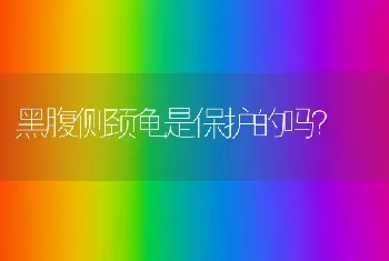 黑腹侧颈龟是保护的吗？