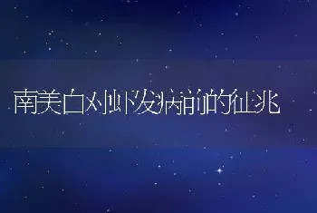 南美白对虾发病前的征兆