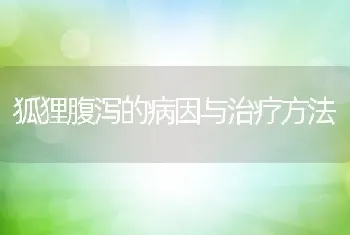 狐狸腹泻的病因与治疗方法