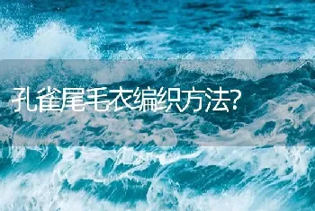 孔雀尾毛衣编织方法？