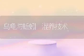 乌龟与蚯蚓 混养技术