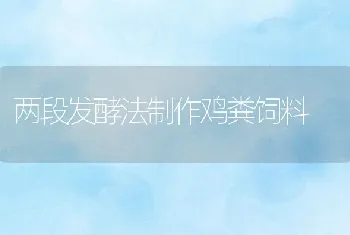 两段发酵法制作鸡粪饲料