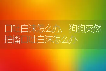 口吐白沫怎么办，狗狗突然抽搐口吐白沫怎么办