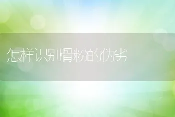 怎样识别骨粉的伪劣