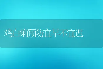 鸡白痢预防宜早不宜迟