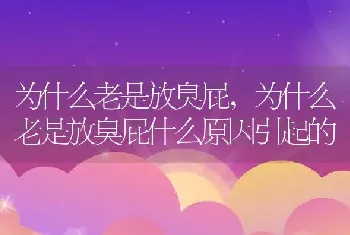 为什么老是放臭屁，为什么老是放臭屁什么原因引起的