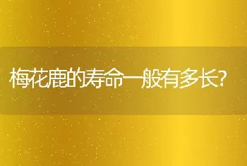 梅花鹿的寿命一般有多长？