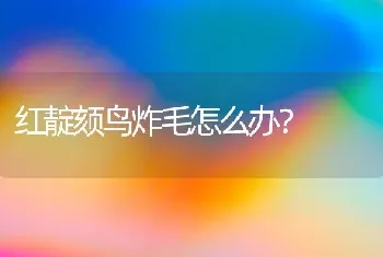 狗狗得了细小，家里再不能马上养别的狗了吗？