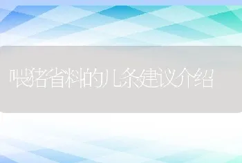 江苏盐城市盐都区热心为大闸蟹养殖户服务的指导员—陈红