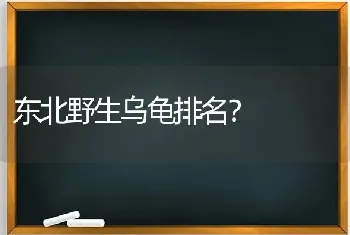 东北野生乌龟排名？