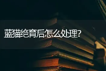 蓝猫绝育后怎么处理？