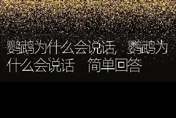 鹦鹉为什么会说话，鹦鹉为什么会说话 简单回答