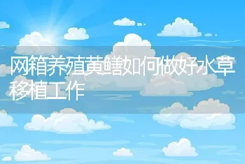 网箱养殖黄鳝如何做好水草移植工作