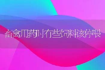 正确的兔免疫十点要点