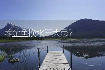 养金鱼换水三大忌？