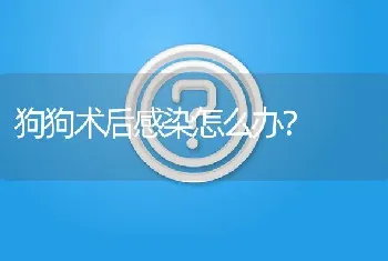 狗狗术后感染怎么办？