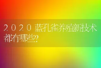 2020蓝孔雀养殖新技术都有哪些？