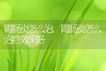 胃肠炎怎么治，胃肠炎怎么治疗效果好