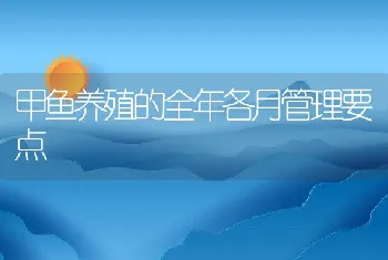 甲鱼养殖的全年各月管理要点