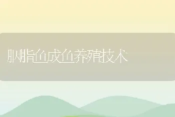 胭脂鱼成鱼养殖技术