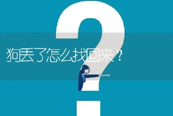 狗丢了怎么找回来？