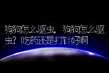 狗狗怎么驱虫，狗狗怎么驱虫？吃药还是打针好啊