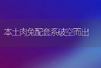 本土肉兔配套系破空而出