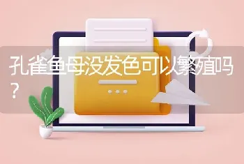 孔雀鱼母没发色可以繁殖吗？