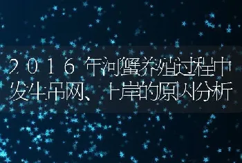 2016年河蟹养殖过程中发生吊网、上岸的原因分析