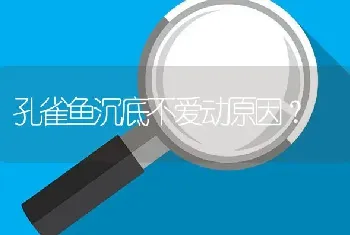 孔雀鱼沉底不爱动原因？