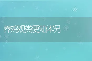 养鸡观粪便知体况