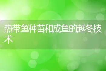 今年华南地区罗非鱼养殖链球菌病发病率好于去年